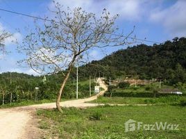  Terrain for sale in Santa Elena, Manglaralto, Santa Elena, Santa Elena