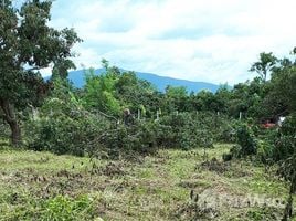  Land for sale in San Pa Tong, Chiang Mai, Nam Bo Luang, San Pa Tong