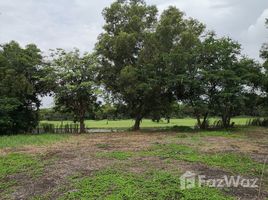 北榄府 Sisa Chorakhe Noi Land For Sale In Lat Krabang 1 Rai N/A 土地 售 