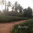  Land for sale in Thailand, Pak Nam Pran, Pran Buri, Prachuap Khiri Khan, Thailand