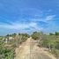  Land for sale in Rayong, Map Yang Phon, Pluak Daeng, Rayong