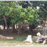 ທີ່ດິນ N/A ໃຫ້ເຊົ່າ ໃນ , ສະຫວັນນະເຂດ Land for rent in Naxaythong, Savannakhet