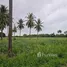 Terrain à vendre à Pran Buri, Hua Hin, Pran Buri, Pran Buri