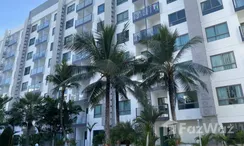 Photo 2 of the Communal Garden Area at Arcadia Beach Resort