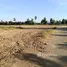  Land for sale in Thailand, Ban Chian, Hankha, Chai Nat, Thailand