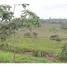  Terrain for sale in Santa Elena, Manglaralto, Santa Elena, Santa Elena