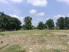  Terreno (Parcela) en venta en Nakhon Ratchasima, Kut Noi, Sikhio, Nakhon Ratchasima