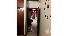 Appartement à 3 chmbr中可用单位