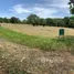  Terreno (Parcela) en venta en Abrio, Santa Rosa City