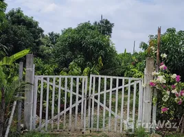 在厄瓜多尔出售的 土地, Isidro Ayora, Isidro Ayora, Guayas, 厄瓜多尔