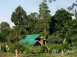  Grundstück zu verkaufen in Thung Chang, Nan, Lae, Thung Chang