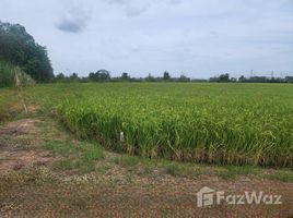  Terrain for sale in Phra Nakhon Si Ayutthaya, Sam Ko, Sena, Phra Nakhon Si Ayutthaya