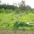  Terrain for sale in Madhya Pradesh, Bhopal, Bhopal, Madhya Pradesh