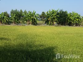 N/A Land for sale in Ban Kluai, Sukhothai 30 Rai Land In Meuang Sukhothai