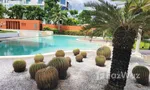 Communal Garden Area at Las Tortugas Condo