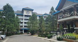 Available Units at Pine Suites