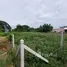  Terreno (Parcela) en venta en Tailandia, Hua Hin City, Hua Hin, Prachuap Khiri Khan, Tailandia