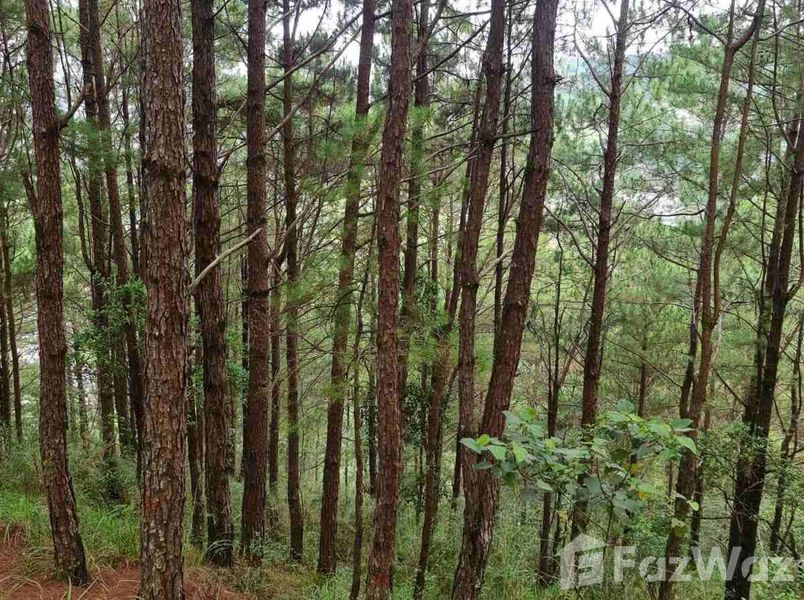 Land with Mountain View for Sale in Cordillera