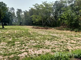  Land for sale in Sawai, Prang Ku, Sawai