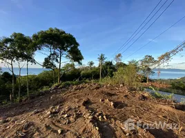 ขายที่ดิน ใน แม่น้ำ, สุราษฎร์ธานี, แม่น้ำ