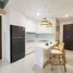 Penthouse Studio à louer à Đại Quang Minh, An Loi Dong