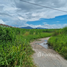  Land for sale in Chon Buri, Ban Bueng, Ban Bueng, Chon Buri