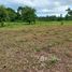  Land for sale in Amazonas, Balbina, Presidente Figueiredo, Amazonas