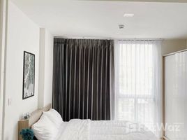 1 Bedroom Condo for rent at Chambers On-Nut Station, Bang Chak
