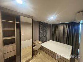 1 Bedroom Apartment for rent at The Excel Hideaway Sukhumvit 50, Phra Khanong, Khlong Toei