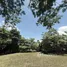  Terreno (Parcela) en venta en Costa Rica, Turrubares, San José, Costa Rica