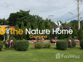 ขายที่ดิน ใน สันกลาง, เชียงใหม่, สันกลาง