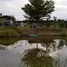 ขายที่ดิน ใน หนองน้ำใส, นครราชสีมา, หนองน้ำใส, สีคิ้ว