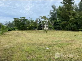 ขายที่ดิน ใน กะรน, ภูเก็ต, กะรน, เมืองภูเก็ต