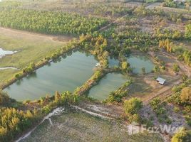 ขายที่ดิน ใน ภูดิน, กาฬสินธุ์, ภูดิน, เมืองกาฬสินธุ์, กาฬสินธุ์