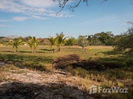N/A Land for sale in Boca Chica, Chiriqui CHIRIQUÃ, SAN LORENZO, BOCA CHICA, PLAYA RINCÃ“N, San Lorenzo, Chiriqui