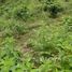  Terreno (Parcela) en venta en Puerto Quito, Pichincha, Puerto Quito, Puerto Quito