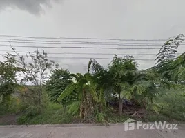  Land for sale in Bueng Ba, Nong Suea, Bueng Ba