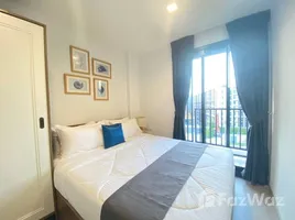 อพาร์ทเม้นท์ 1 ห้องนอน ให้เช่า ในโครงการ เดอะ เบส เซ็นทรัล ภูเก็ต, วิชิต