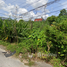  Land for sale in Sabarang, Mueang Pattani, Sabarang