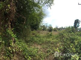  Land for sale in Surat Thani, Lamet, Chaiya, Surat Thani