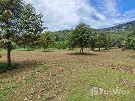 ขายที่ดิน ใน แม่น้ำ, สุราษฎร์ธานี, แม่น้ำ, เกาะสมุย