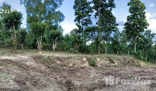 N/A Land for sale in Nam Phrae, Chiang Mai 