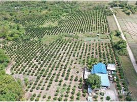  Grundstück zu verkaufen in Tarlac, Central Luzon, Camiling