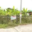  Land for sale in Sam Phran, Nakhon Pathom, Sam Phran, Sam Phran, Nakhon Pathom