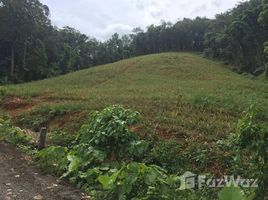  Terrain for sale in Pa Khlok, Thalang, Pa Khlok