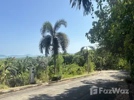  Grundstück zu verkaufen im Yamu Hills, Pa Khlok, Thalang, Phuket