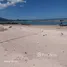  Land for sale in Koh Samui Surat Thani, Na Mueang, Koh Samui