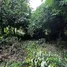 ขายที่ดิน ใน หนองยาว, สระบุรี, หนองยาว, เมืองสระบุรี, สระบุรี, ไทย
