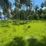  Terrain for sale in Samana, Santa Barbara De Samana, Samana