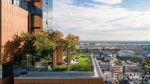 图片 1 of the Communal Garden Area at The Room Sukhumvit 38